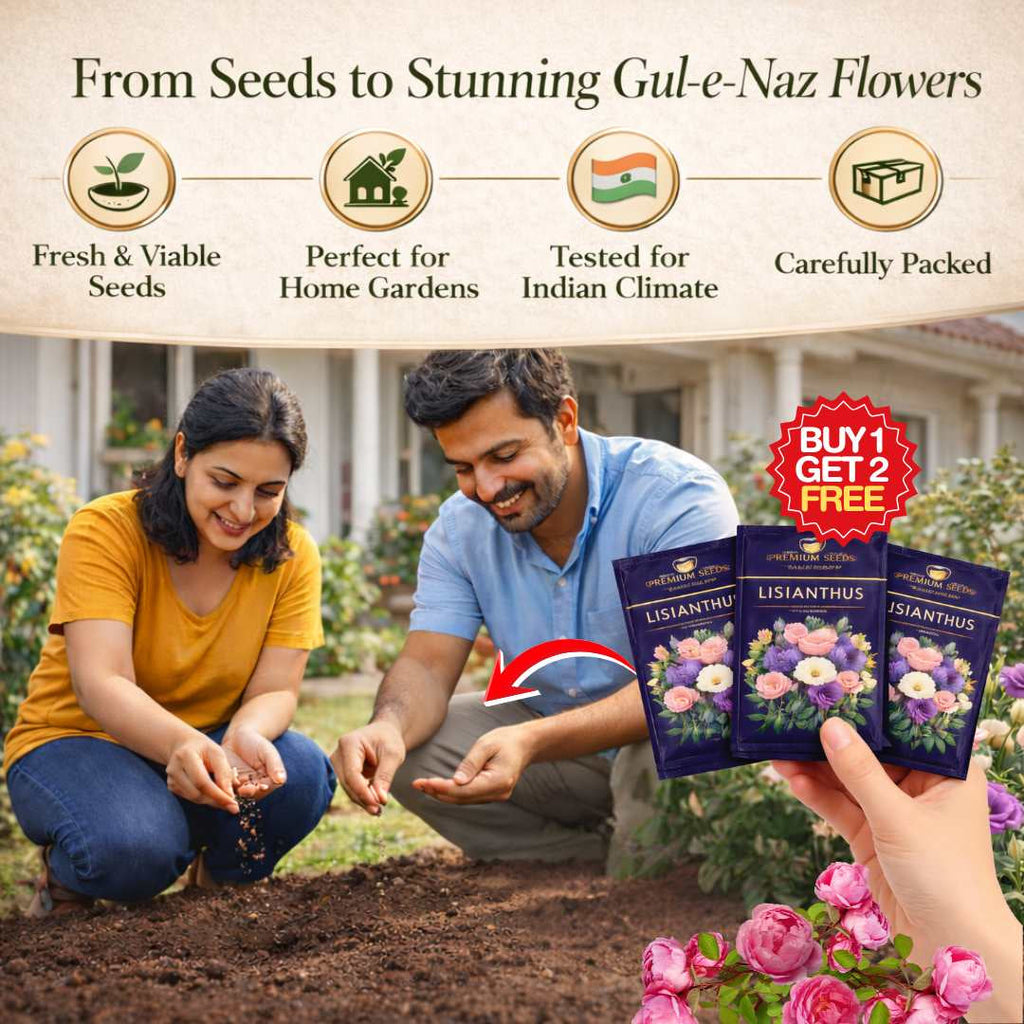 Premium Lisianthus (Prairie Rose / Gul-e-Naz) Flower Seeds | BUY 1 GET 2 FREE